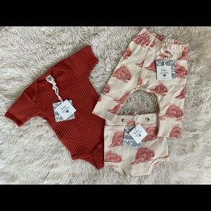 Kate Quinn Porcupine Bundle